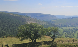 Featured image of post That Time I Went to Wales